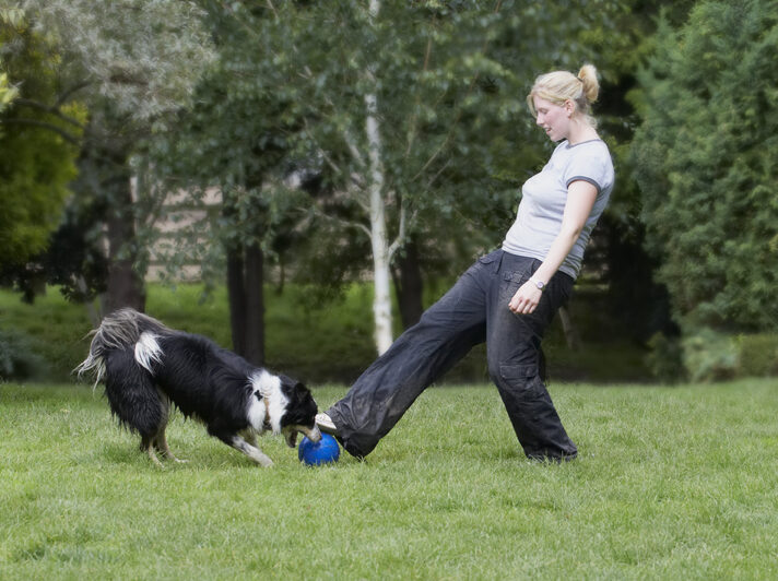 Ball, Border Collie, Collies, Laura, Stinky, Tongue