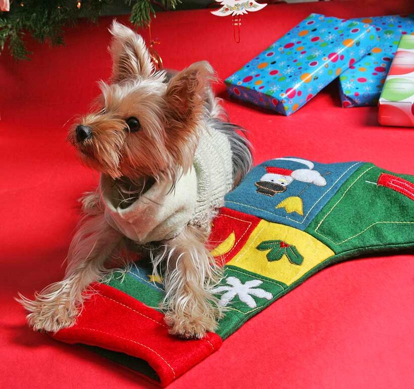 Layla and Her Christmas Stocking