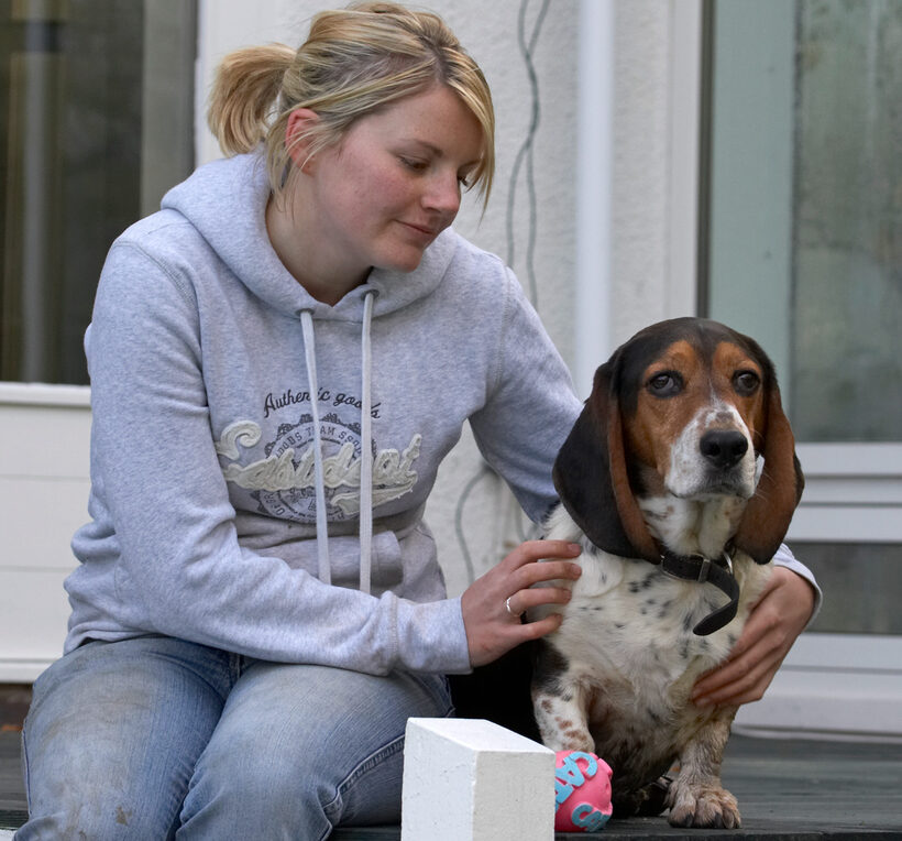 Ball, Bassett hound, Dog, Dogs, Humphrey, Kate