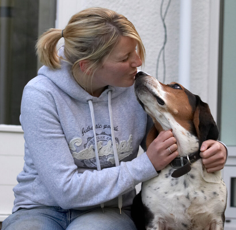 Bassett hound, Dog, Dogs, Humphrey, Kate, Kiss