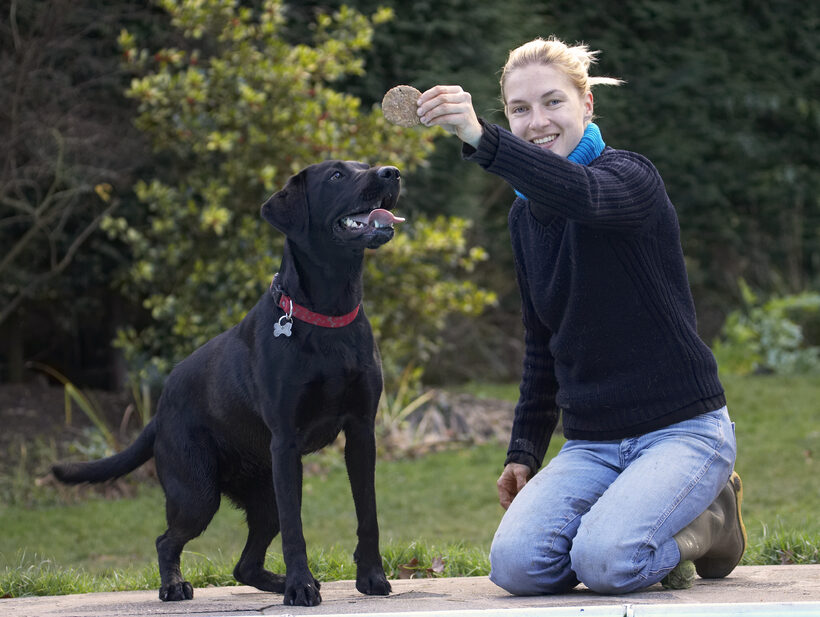 Blonde, Cookie, Dog, Dogs, Girl, Hanka, Labrador, Play, Playing, Playtime, Smile, Smiling, Thelma, Tongue, Woman