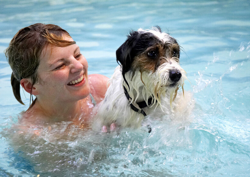 Dog, Dogs, Kate, Muki, Parson Russell Terrier, Play, Playing, Playtime, Pool, Swim, Swimming, Terriers, Water