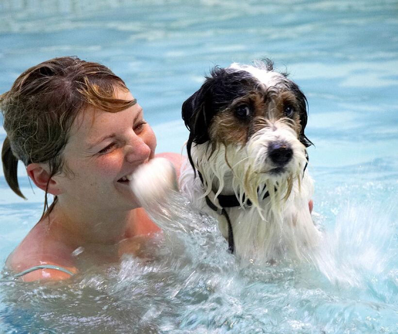 Dog, Dogs, Kate, Muki, Parson Russell Terrier, Play, Playing, Playtime, Pool, Swim, Swimming, Terriers