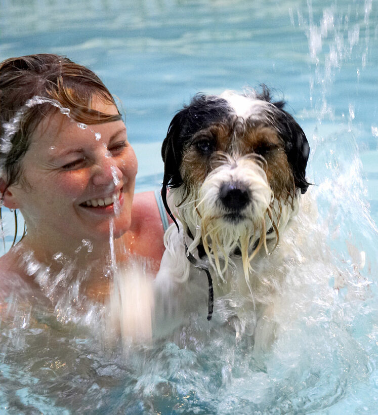 Dog, Dogs, Kate, Muki, Parson Russell Terrier, Play, Playing, Playtime, Pool, Splash, Splashing, Swim, Swimming, Terriers