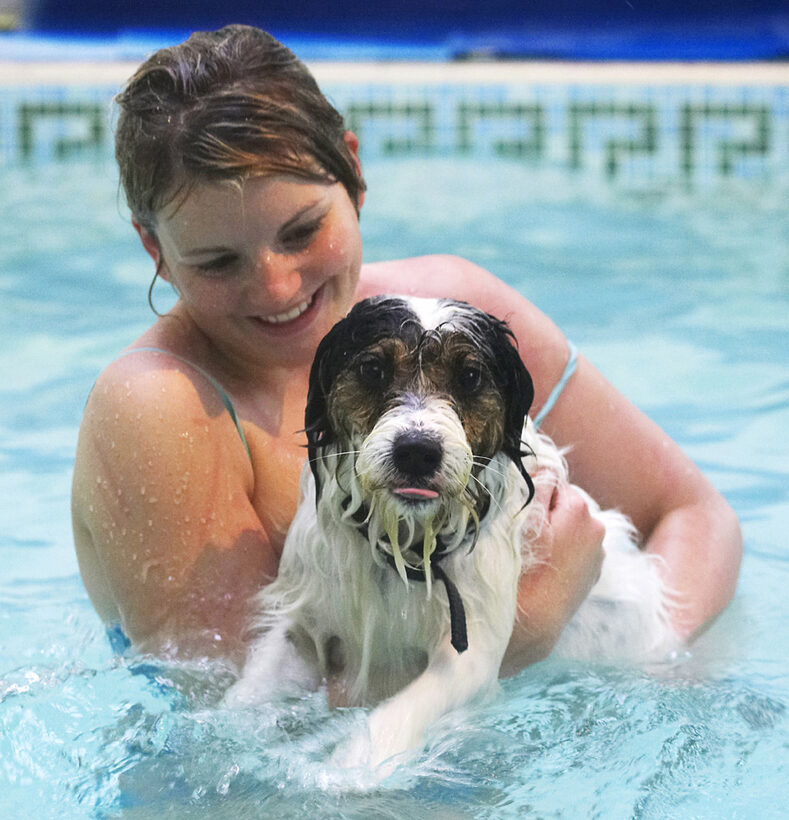 Dog, Dogs, Kate, Muki, Parson Russell Terrier, Play, Playing, Playtime, Pool, Swim, Swimming, Terriers, Tongue