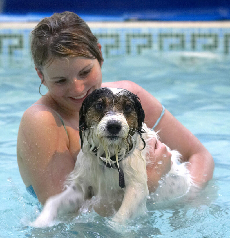 Dog, Dogs, Kate, Muki, Parson Russell Terrier, Play, Playing, Playtime, Pool, Swim, Swimming, Terriers