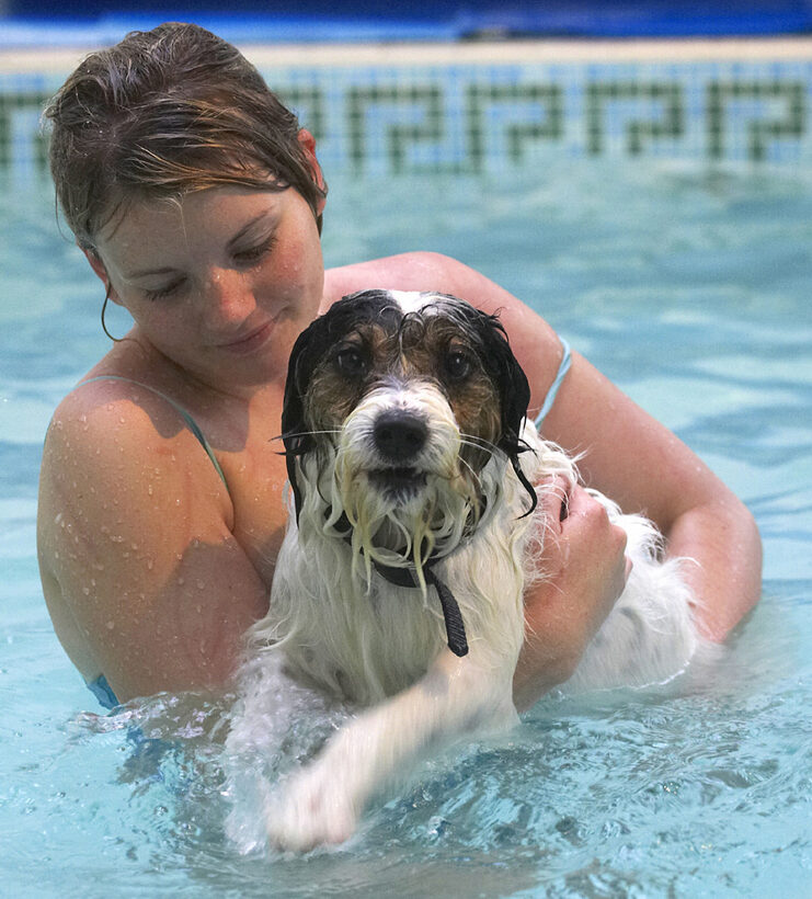 Dog, Dogs, Kate, Muki, Parson Russell Terrier, Play, Playing, Playtime, Pool, Swim, Swimming, Terriers