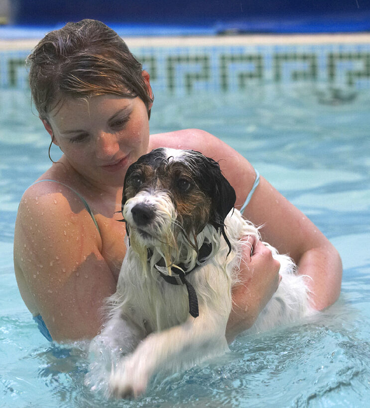 Dog, Dogs, Kate, Muki, Parson Russell Terrier, Play, Playing, Playtime, Pool, Swim, Swimming, Terriers