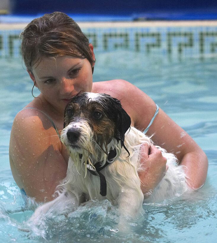 Dog, Dogs, Kate, Muki, Parson Russell Terrier, Play, Playing, Playtime, Pool, Swim, Swimming, Terriers