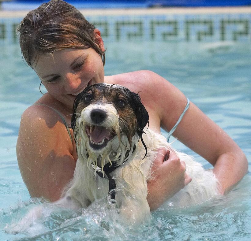 Dog, Dogs, Kate, Laugh, Muki, Parson Russell Terrier, Play, Playing, Playtime, Pool, Smile, Swim, Swimming, Terriers