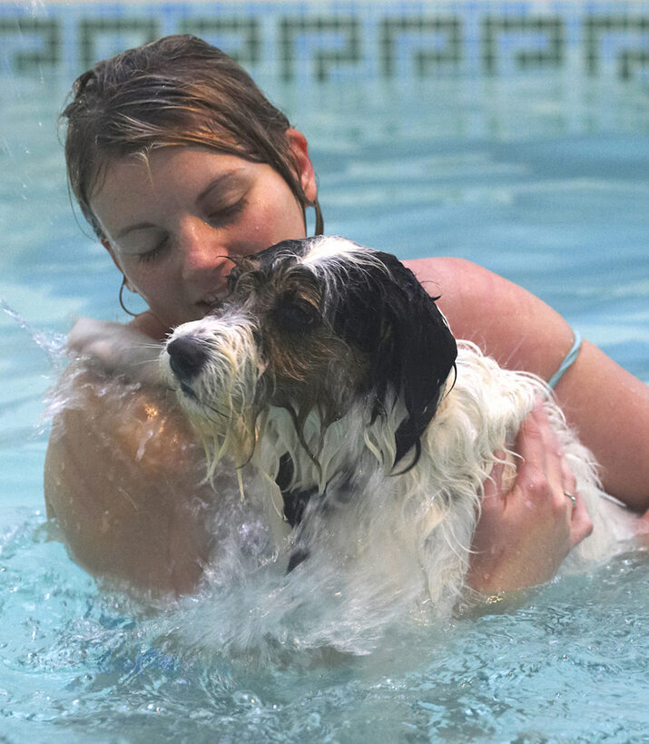 Dog, Dogs, Kate, Muki, Parson Russell Terrier, Play, Playing, Playtime, Pool, Splash, Splashing, Swim, Swimming, Terriers