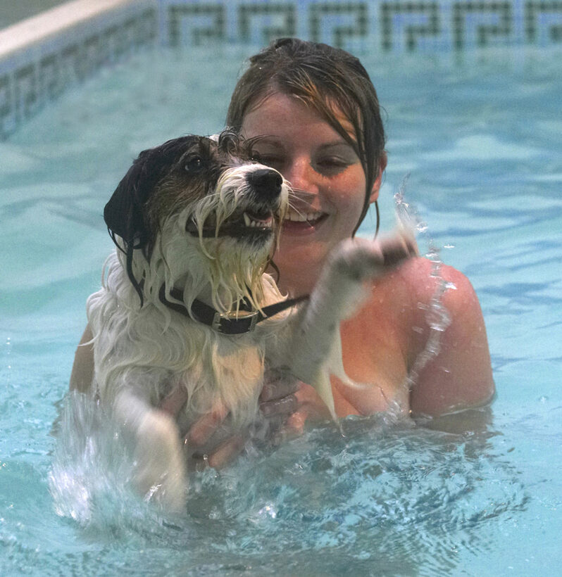 Dog, Dogs, Hi-five, Kate, Muki, Parson Russell Terrier, Play, Playing, Playtime, Pool, Splash, Splashing, Swim, Swimming, Terriers