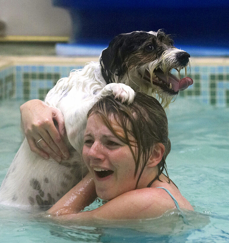 Dog, Dogs, Kate, Muki, Parson Russell Terrier, Play, Playing, Playtime, Swim, Swimming, Terriers, Tongue