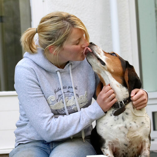 Bassett, Dog, Dogs, Hound, Hounds, Humph, Humphrey, Kate, Kiss, Play, Playing, Playtime, Sit, Sitting, Tongue