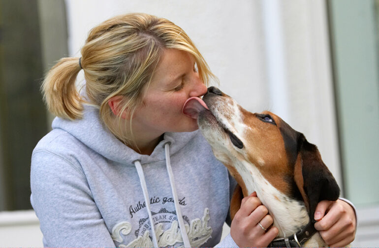 Bassett, Blonde, Dog, Dogs, Hound, Hounds, Humph, Humphrey, Kate, Kiss, Play, Playing, Playtime, Tongue, Woman