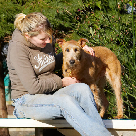 Animal, Animals, Blonde, Canine, Canines, Dog, Dogs, Irish Terrier, Kate, Land Mammal, Land Mammals, Play, Playing, Playtime, Smile, Smiling, Terrestrial Mammal, Terrestrial Mammals, Terriers, Tintin, Woman