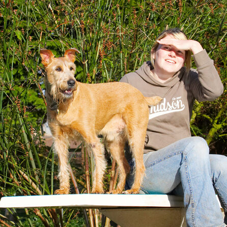 Animal, Animals, Blonde, Canine, Canines, Dog, Dogs, Irish Terrier, Kate, Land Mammal, Land Mammals, Play, Playing, Playtime, Smile, Smiling, Terrestrial Mammal, Terrestrial Mammals, Terriers, Tintin, Woman