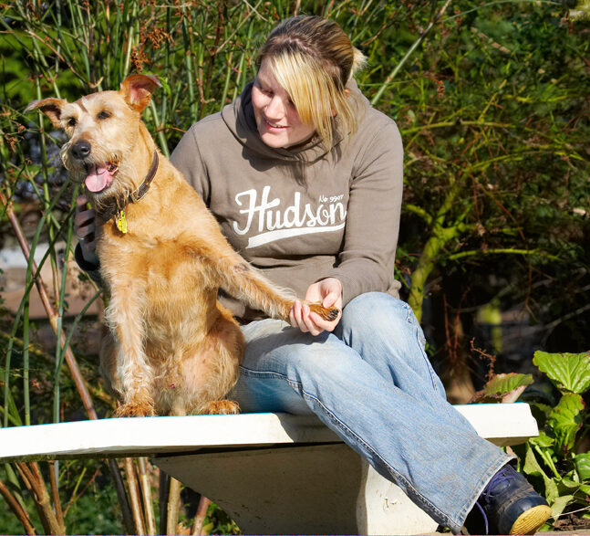 Animal, Animals, Blonde, Canine, Canines, Dog, Dogs, Irish Terrier, Kate, Land Mammal, Land Mammals, Play, Playing, Playtime, Terrestrial Mammal, Terrestrial Mammals, Terriers, Tintin, Tongue, Woman
