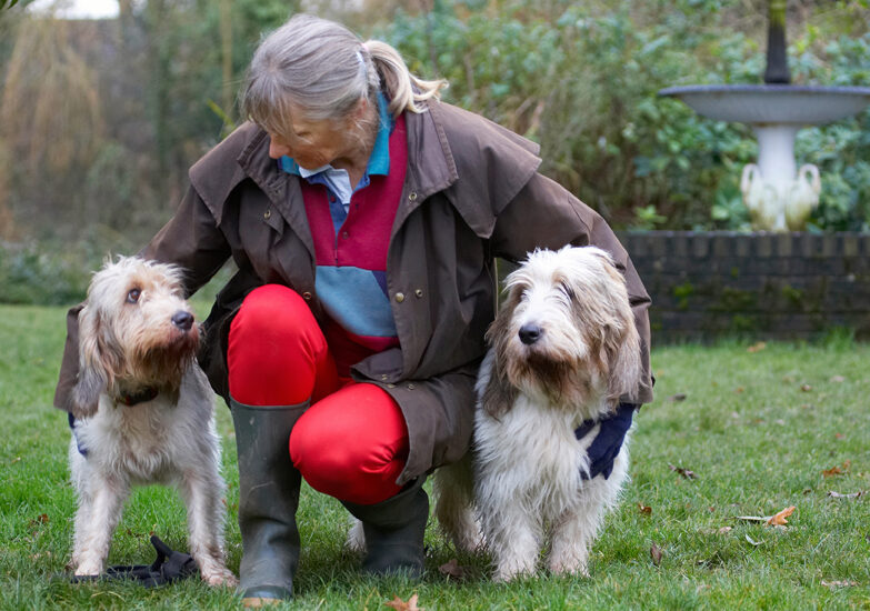 Alfie, Best, Cathy, Cuddle, Dog, Dogs, Friends, Grand Vendeen Bassett Hound, Hounds, Libbie, Play, Playing, Playtime