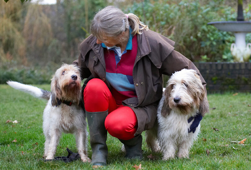 Alfie, Best, Cathy, Cuddle, Dog, Dogs, Friends, Grand Vendeen Bassett Hound, Hounds, Libbie, Play, Playing, Playtime