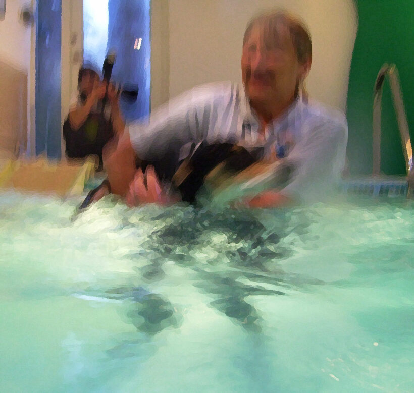 Animal, Animals, Canine hydrotherapy, Cathy Bushby, Dog, Dogs, Lurcher, Marjorie, Murphy, Pet, Pets, Photograph, Swimming