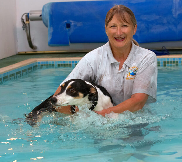 Blonde, Cathy, Dog, Dogs, Lurcher, Murphy, Play, Playing, Playtime, Pool, Smile, Smiling, Swim, Swimming, Woman