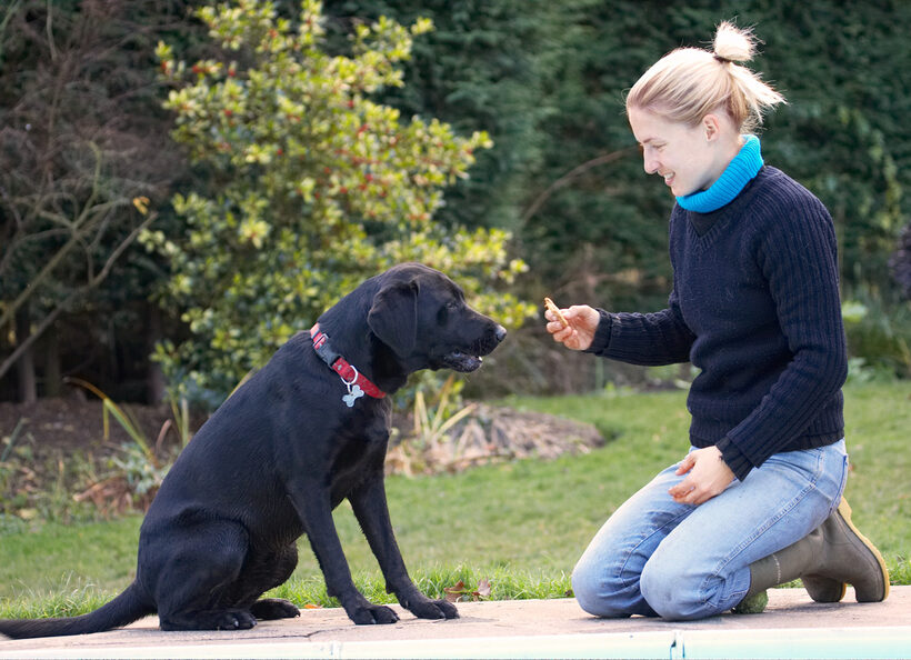 Blonde, Cookie, Dog, Dogs, Girl, Hanka, Labrador, Play, Playing, Playtime, Sit, Sitting, Smile, Smiling, Thelma, Woman