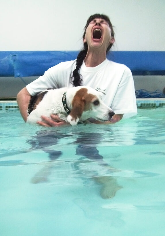 Beagle, Dog, Dogs, Lesson, Marjorie, Pool, Stan, Swim, Swimming