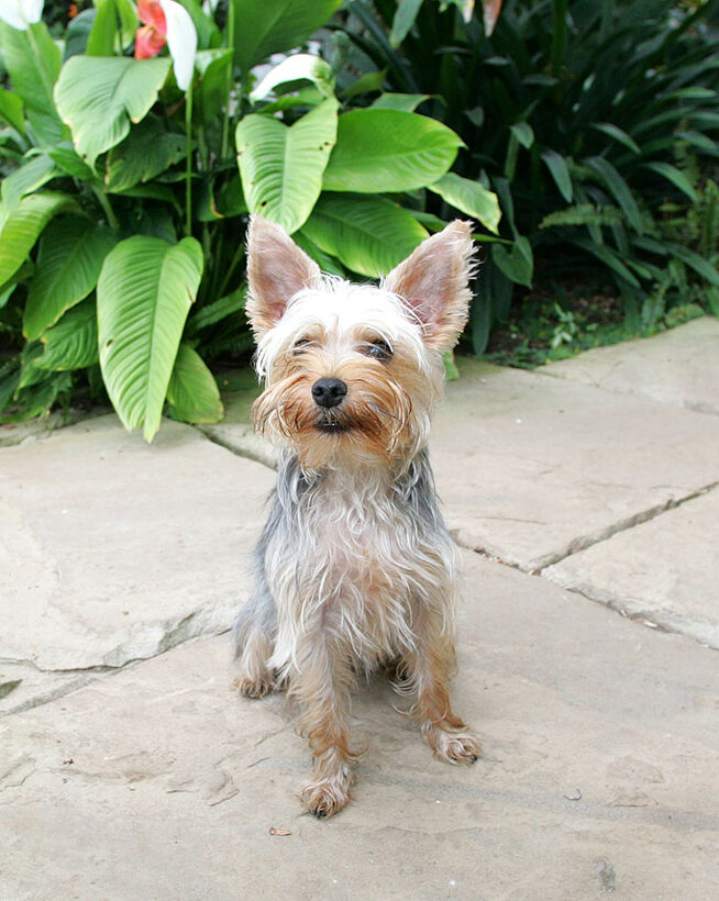 Layla -- Looking Cute