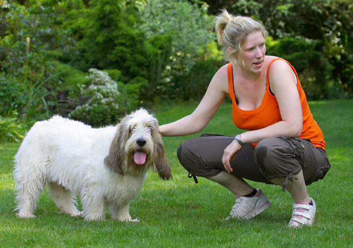 Alfie, Dog, Dogs, Grand Vendeed Bassett Hound, Hounds, Laura, Tongue