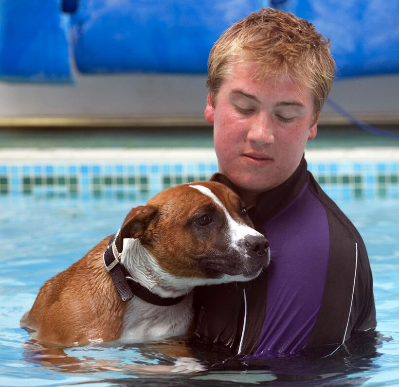 Animal, Animals, Ben, Canine, Canines, Dog, Dogs, Land Mammal, Land Mammals, Monty, Play, Playing, Playtime, Pool, Staffordshire Bull Terrier, Swimming, Terrestrial Mammal, Terrestrial Mammals