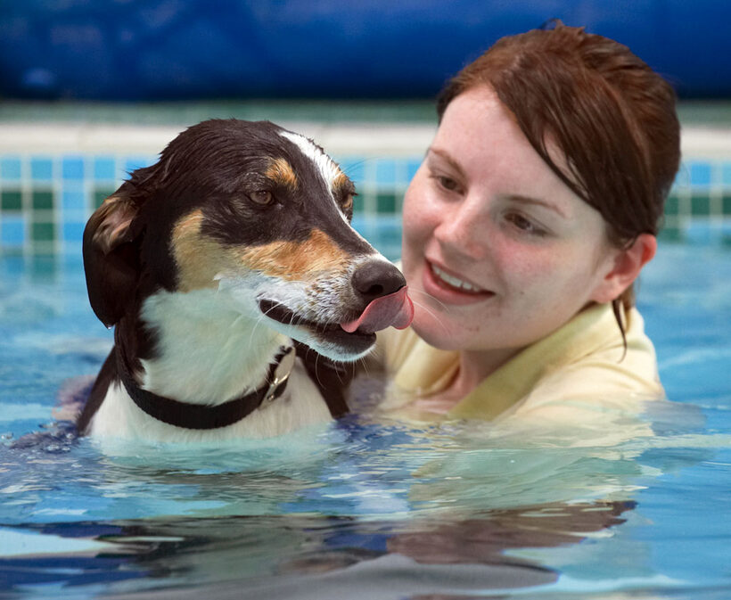 Animal, Animals, Canine, Canines, Dog, Dogs, Kate, Land Mammal, Land Mammals, Lurcher, Murphy, Play, Playing, Playtime, Pool, Swimming, Terrestrial Mammal, Terrestrial Mammals, Tongue
