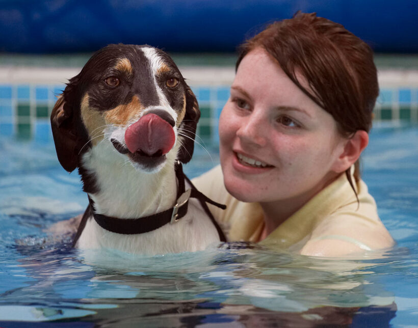 Animal, Animals, Canine, Canines, Dog, Dogs, kate, Land Mammal, Land Mammals, Lurcher, Murphy, Play, Playing, Playtime, Pool, Swimming, Terrestrial Mammal, Terrestrial Mammals, Tongue