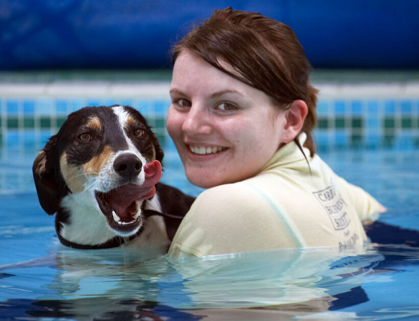 Animal, Animals, Canine, Canines, Dog, Dogs, Kate, Land Mammal, Land Mammals, Lurcher, Murphy, Play, Playing, Playtime, Pool, Swimming, Terrestrial Mammal, Terrestrial Mammals, tongue