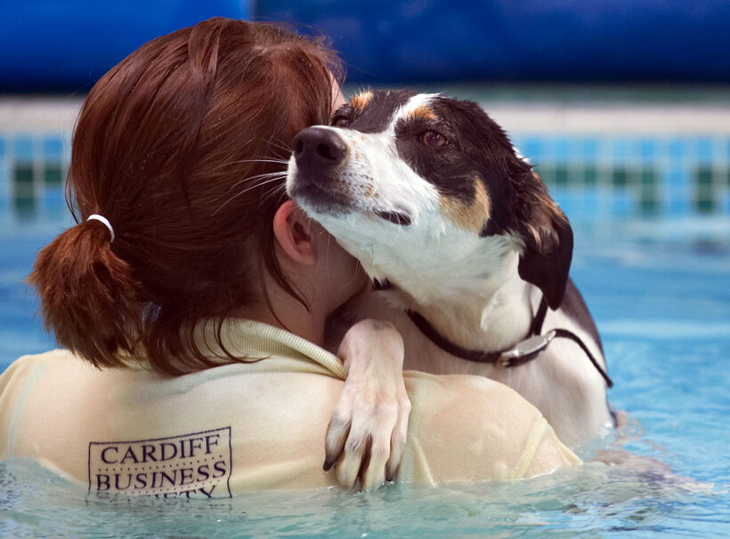 Animal, Animals, Canine, Canines, Dog, Dogs, kate, Land Mammal, Land Mammals, Lurcher, Murphy, Play, Playing, Playtime, Pool, Swimming, Terrestrial Mammal, Terrestrial Mammals