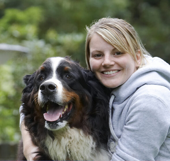 Bernese Mountain Dog, Dogs, Katie, Murphy