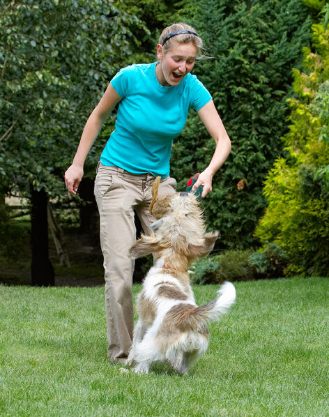 Bassett, Blonde, Dog, Dogs, Grand, Hound, Hounds, Julita, Libbie, Pheasant, Play, Playing, Playtime, Smile, Smiling, Tug-o-war, Vendeen, Woman