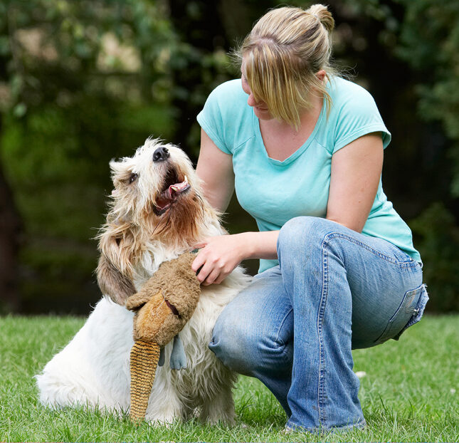 Alfie, Bassett, Blonde, Cuddle, Cuddles, Cuddling, Dog, Dogs, Grand, Hound, Hounds, Kate, Play, Playing, Playtime, Scratch, Scratching, Vendeen, Woman