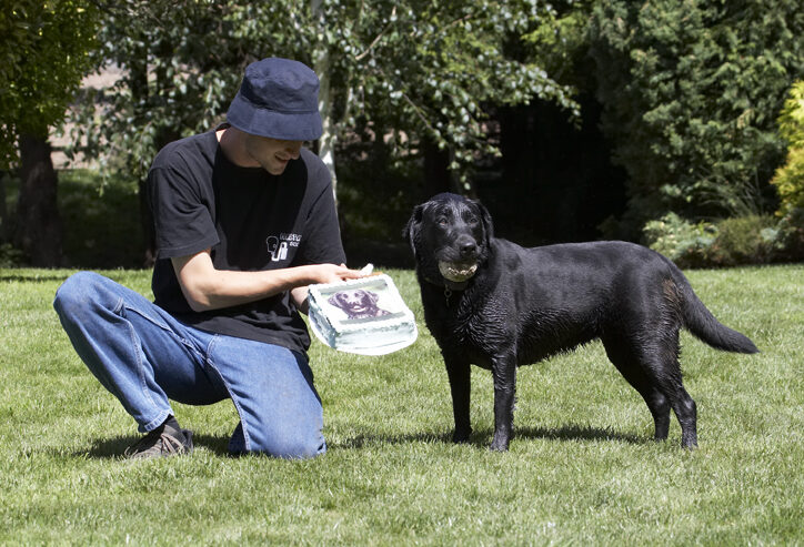 Birthday, Cake, Dog, Dogs, Ellie, Grzegorz, Labrador