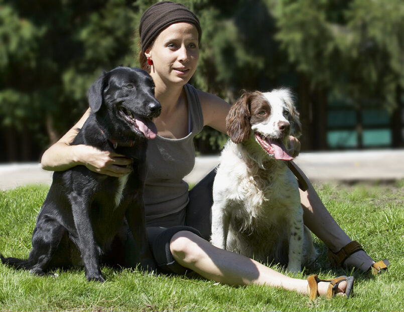 Dog, Dogs, Jodie, Labrador, Lucy, Petra, Springer Spaniel, Tongue