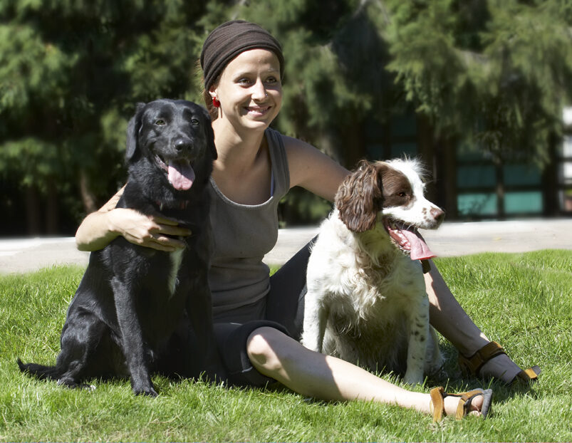 Dog, Dogs, Jodie, Labrador, Lucy, Petra, Springer Spaniel, Tongue