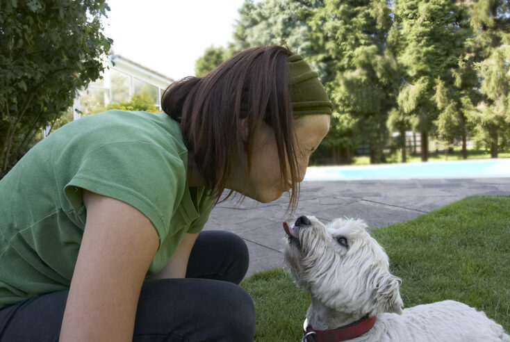 Dog, Dogs, Molly, Petra, Scruffy, Terriers, Tongue, West Highland Terrier