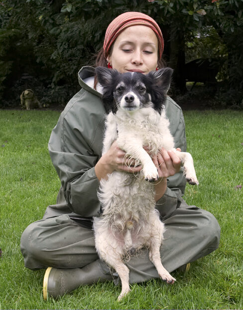 Dog, Dogs, Long Haired Chihuahua, Matt, Petra