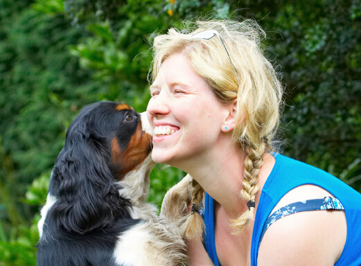 Dog, Dogs, Jasper, King Charlies Spaniel, Laura, Spaniels, Tongue
