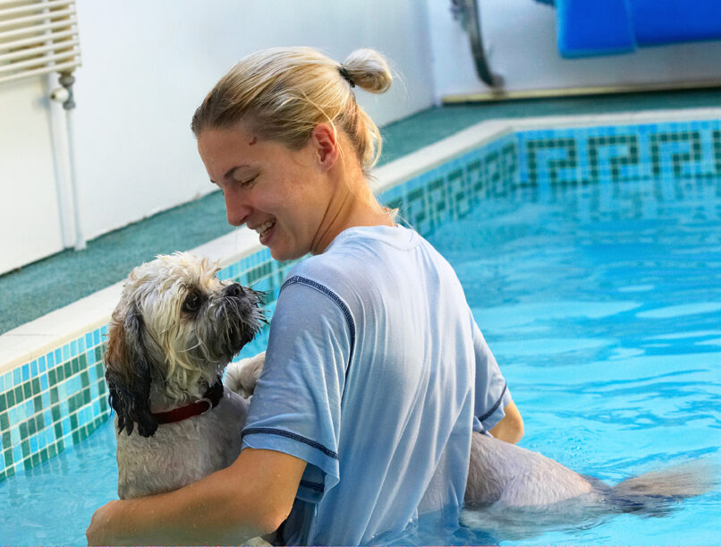 Dog, Dogs, Hanka, Lhasa Apso, Monty, Pool, Swimming, Trigger