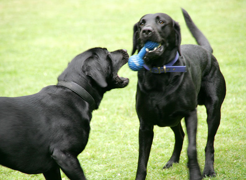 Give Me That Blue Thing . . . .