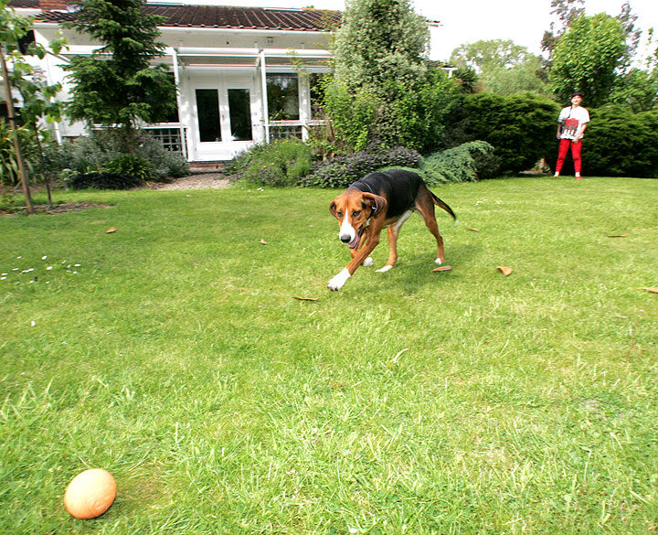 Marjorie - Ball - Jessie (not in that order)