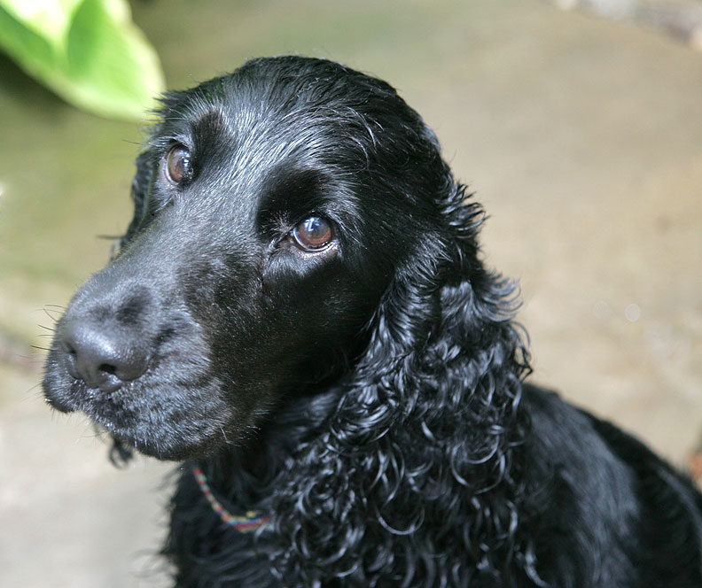 Woody Looking Sad