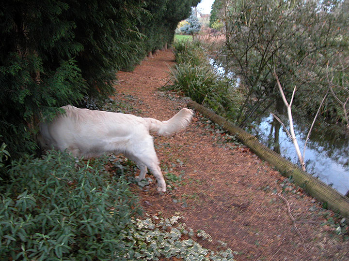 Joe Hunting for something Exciting