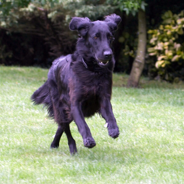 I'm after the ball